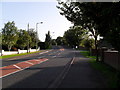 Banbridge Road at Ferris Park