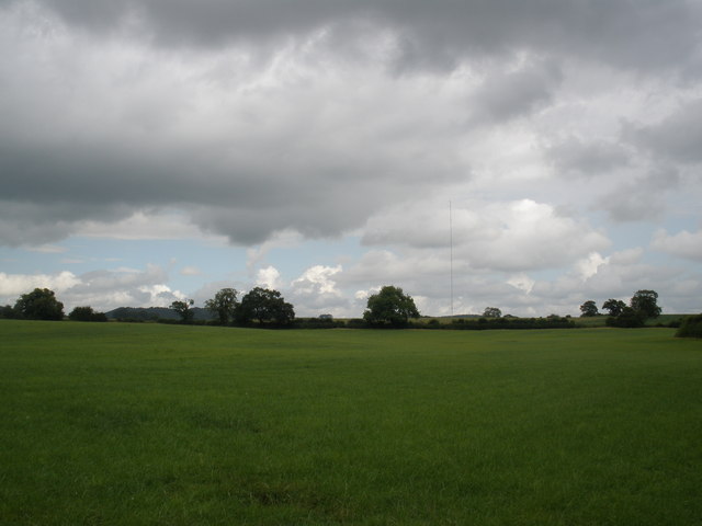 Pasture land, near Bickerton