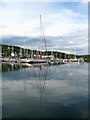 Tarbert Marina