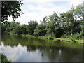 Fishing Pond, Halsnead Park