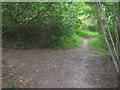 Footpath junction on Tunbridge Wells Circular