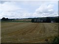 Fields by Bogton Farm