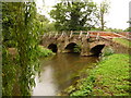 Eashing: the River Wey approaching Eashing Bridge