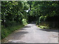 Road from Pytte to Clyst St George