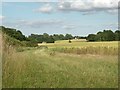 Farmland near Little Knowles Green