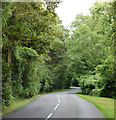 Woodland at Bascote Heath looking south