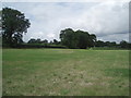 Field near Highfield Farm