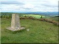 The trig point on Berry Hillock