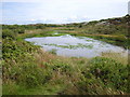 Heathland pool south of Llam Carw point