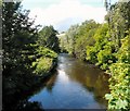 River Tame