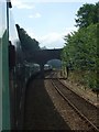 Class 47 train taking the crowds back to Norwich