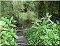 Steps at Engine Lonning