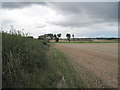 Footpath near Meols