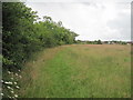 Footpath to Greasby