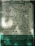TQ5835 : Information Board about Eridge Old Park by David Anstiss
