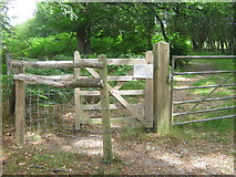 TQ5835 : Kissing gate leading into Eridge Old Park by David Anstiss