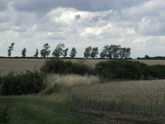 View towards Harcamlow Way from another path