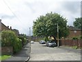 Cherry Tree Avenue - Cottage Road