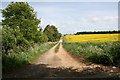 Track to Milton Downs farm