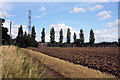 Radio mast near Coney Weston