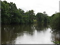 Brecon - River Usk, Looking West