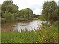 Hankridge Lake, Taunton