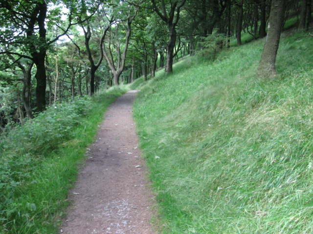 Footpath in Macclesfield Forest