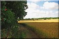 Footpath to Stocking Pelham