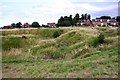 Looking across Brill Common