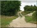 Farm Track, Towthorpe Wold