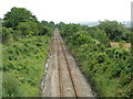 Straight Line To Saundersfoot