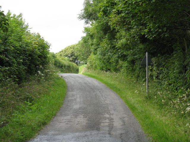 Lane Near Trewern