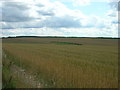 SE9568 : Farmland, High Field by JThomas