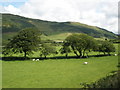 The  Afon Fathew valley