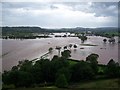 River Tywi Floodplain downstream from Dryslwyn Castle