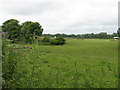 Field Near Milton