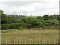 Hillside Beyond Fourth Lane, Pembroke