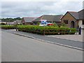 New Bungalows, Fourth Lane, Pembroke