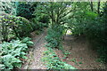 Old farm track, Worplesdon