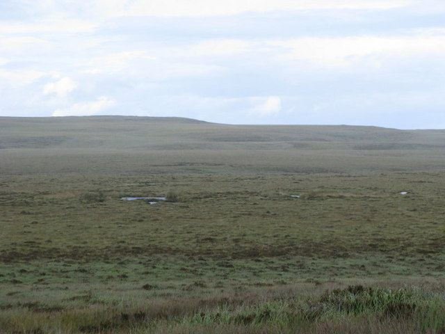 Moorland with puddles