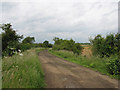 Track of Old Railway - the Holwell Branch