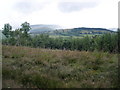 View, from Buckland Hill