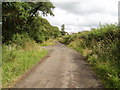 Farm track to Barrodger Farm