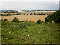 SE8149 : View from Chapel Hill, Pocklington by Dr Patty McAlpin