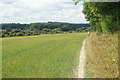 Footpath Beside the Meadow, Alton, Hampshire