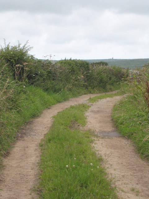 A track on the Trewidden Estate