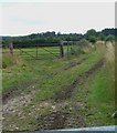 Footpath south from Manor Farm