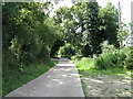 Farm road and bridleway north of Birch Wood