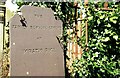 Headstone, Holy Trinity, Drumbo near Belfast