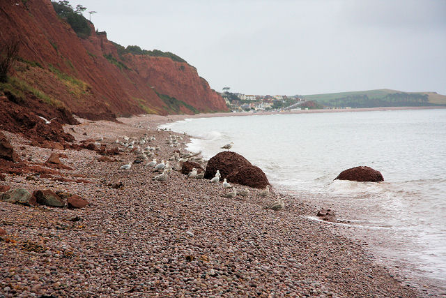 Naturist Beach Near Budleigh Salterton Bob Jones Geograph Britain And Ireland